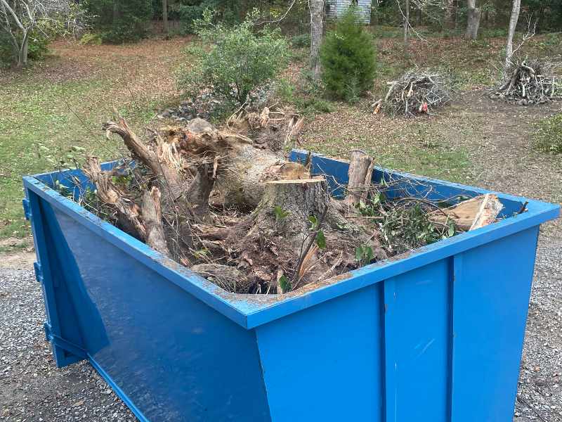 dumpster loaded with stumps and tree clippings for yard waste removal service in Augusta
